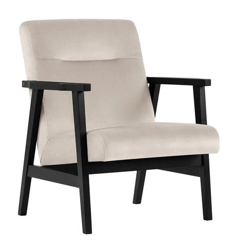 <transcy>Holland - Moderne fluwelen fauteuil</transcy>